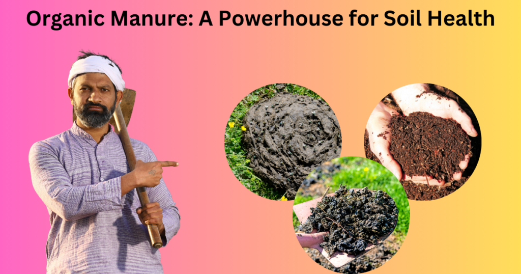 Organic Manure: A Powerhouse for Soil Health